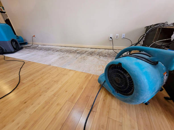 Professional Structural Drying technician working in Union, SC